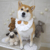 【山手店】2022年11月23日のワンちゃん達♪