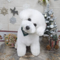 【山手店】2022年11月27日のワンちゃん達♪