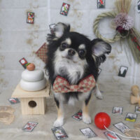 【山手店】2022年12月29日のワンちゃん達♪