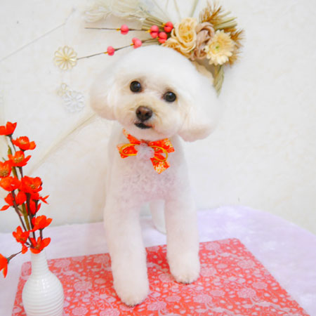 【池下店】2022年12月28日のワンちゃん達♪