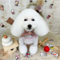 【山手店】2023年1月15日のワンちゃん達♪