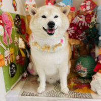 【本店】2023年1月30日のワンちゃん達♪