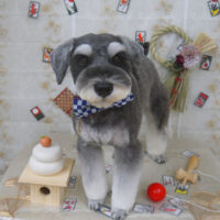 【山手店】2023年1月6日のワンちゃん達♪