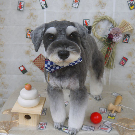 【山手店】2023年1月6日のワンちゃん達♪