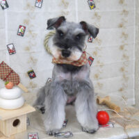 【山手店】2023年1月8日のワンちゃん達♪