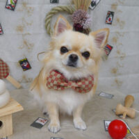 【山手店】2023年1月9日のワンちゃん達♪