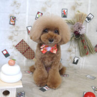 【山手店】2023年1月12日のワンちゃん達♪