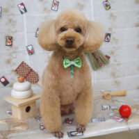 【山手店】2023年1月13日のワンちゃん達♪