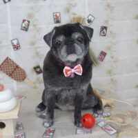 【山手店】2023年1月14日のワンちゃん達♪