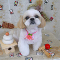 【山手店】2023年1月16日のワンちゃん達♪