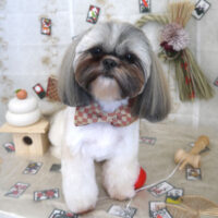 【山手店】2023年1月19日のワンちゃん達♪