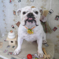 【山手店】2023年1月20日のワンちゃん達♪