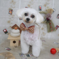 【山手店】2023年1月21日のワンちゃん達♪