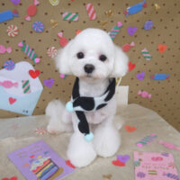 【山手店】2023年1月23日のワンちゃん達♪