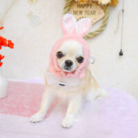 【池下店】2023年1月6日のワンちゃん達♪