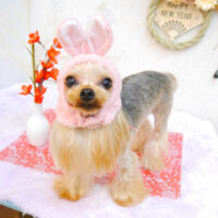 【池下店】2023年1月9日のワンちゃん達♪