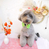 【池下店】2023年1月12日のワンちゃん達♪