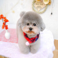 【池下店】2023年1月13日のワンちゃん達♪