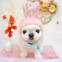 【池下店】2023年1月14日のワンちゃん達♪