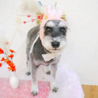 【池下店】2023年1月21日のワンちゃん達♪