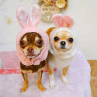 【池下店】2023年1月23日のワンちゃん達♪