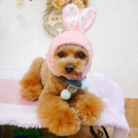 【池下店】2023年1月25日のワンちゃん達♪