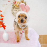 【池下店】2023年1月26日のワンちゃん達♪