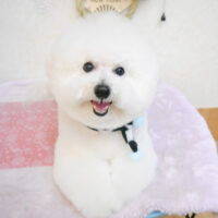 【池下店】2023年1月29日のワンちゃん達♪