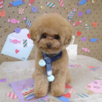 【山手店】2023年2月4日のワンちゃん達♪