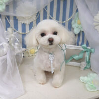 【山手店】2023年2月25日のワンちゃん達♪