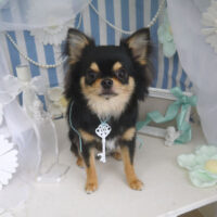 【山手店】2023年2月26日のワンちゃん達♪