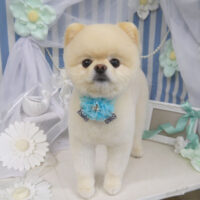 【山手店】2023年2月27日のワンちゃん達♪