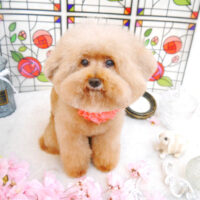 【池下店】2023年2月9日のワンちゃん達♪