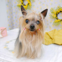 【池下店】2023年2月25日のワンちゃん達♪