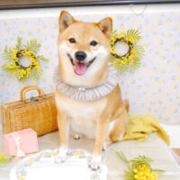 【池下店】2023年2月26日のワンちゃん達♪