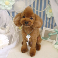 【山手店】2023年3月4日のワンちゃん達♪