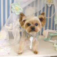 【山手店】2023年3月5日のワンちゃん達♪