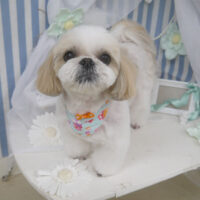 【山手店】2023年3月16日のワンちゃん達♪