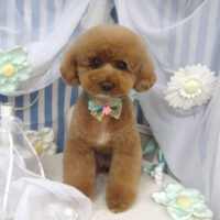 【山手店】2023年3月18日のワンちゃん達♪