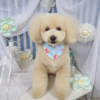 【山手店】2023年3月19日のワンちゃん達♪