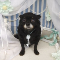 【山手店】2023年3月20日のワンちゃん達♪