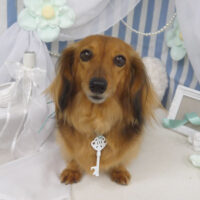 【山手店】2023年3月24日のワンちゃん達♪