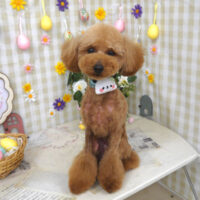 【山手店】2023年4月14日のワンちゃん達♪