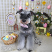 【山手店】2023年4月24日のワンちゃん達♪