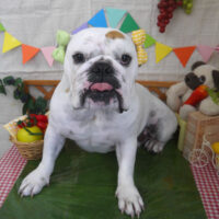 【山手店】2023年4月27日のワンちゃん達♪