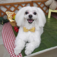 【山手店】2023年4月28日のワンちゃん達♪