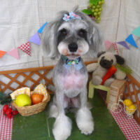 【山手店】2023年4月30日のワンちゃん達♪