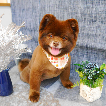 【池下店】2023年4月28日のワンちゃん達♪