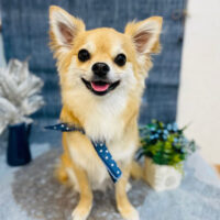 【池下店】2023年5月8日のワンちゃん達♪