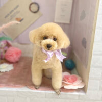 【本店】2023年5月6日のワンちゃん達♪